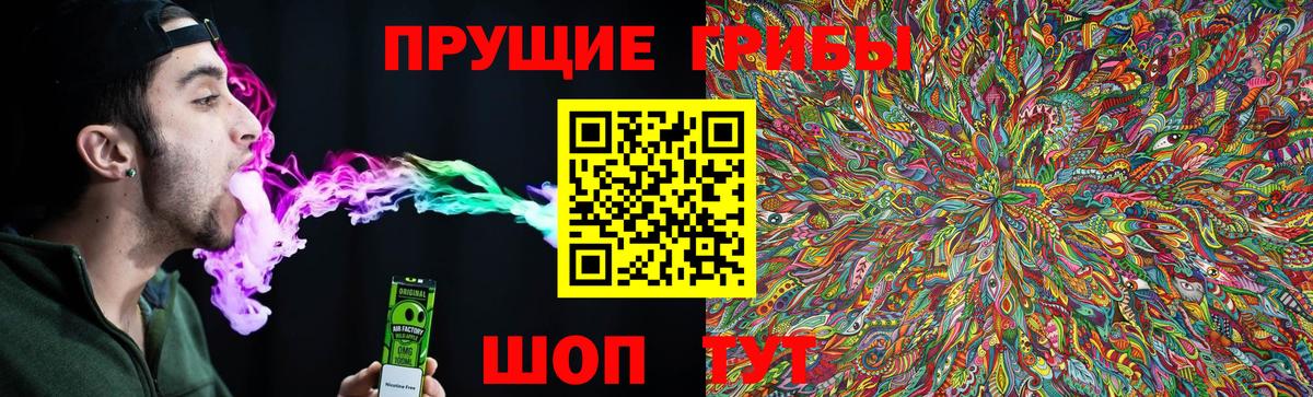 Протвино  Галлюциногенные грибы MAGIC MUSHROOMS  Вход с VPN 